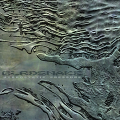 PREMIERE: Birdsnake - Hydrostatic Pressure