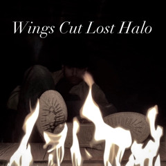 Wings Cut Lost Halo