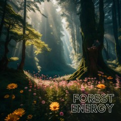 187 - Forest Energy (1:00),(1:00),(0:56),(0:56)
