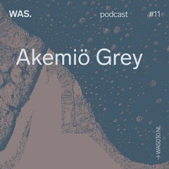 WAS. Series #11 - Akemiö Grey