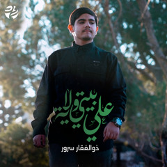 بيتي ولاية علي (feat. ذو الفقار سرور)