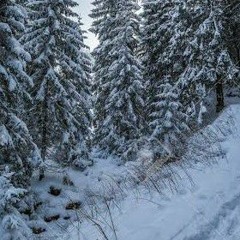 On a snowy mountain trail