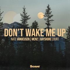 Nate VanDeusen, MCN2 & Bayshore Court - Don't Wake Me Up