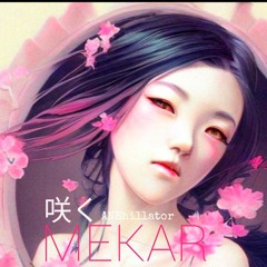 MEKAR咲く