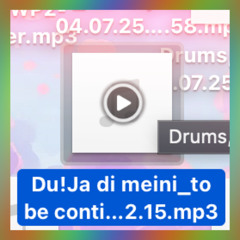 Copy_that-Shi - 05.07.25, 18.09bluppprotec