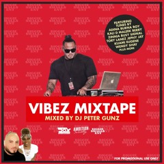 VIBEZ MIXTAPE 2020 - DJ PETER GUNZ