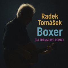Radek Tomášek - Boxer (DJ Transcave Remix)