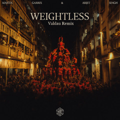 Martin Garrix & Arijit Singh - Weightless (Valdau Remix)