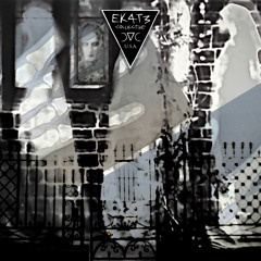 03 Insult Your Injury (Mastered By Sea Wraith)