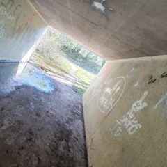 Shadows of the Future