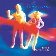 Spice Crackers (FX Mix)