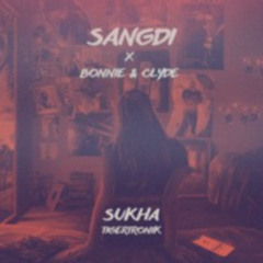 Sangdi x Bonnie & Clyde - Mashup | Sukha, Tigertronik
