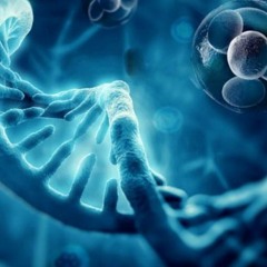 Stem Cells as a Future in Regenerative Medicine | Dr. David Greene Arizona