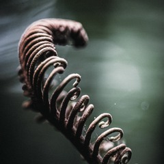 CODECAST [Vision 01] - Soma ﻎ - Aigremoine Eupatoire