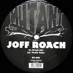 Joff Roach - Virgin Vains
