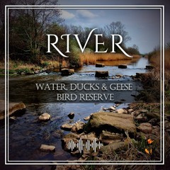 River BirdsReserve Far Water Bremen.WAV