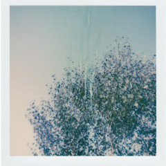 reminisce