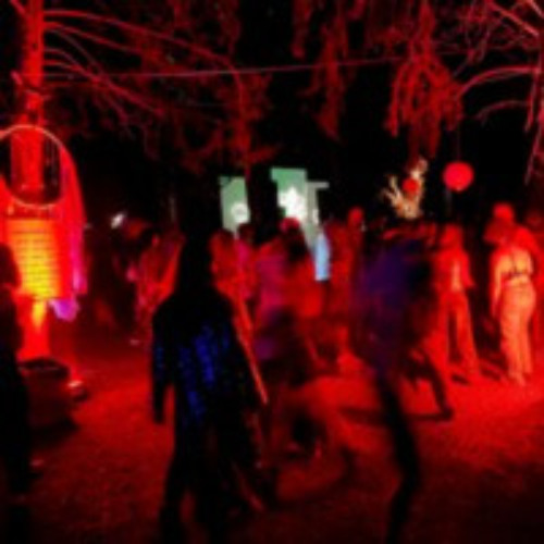 2024 LED It Be FORESTRIP #3