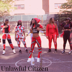 Unlawful Citizen (WE OUTSIDE)