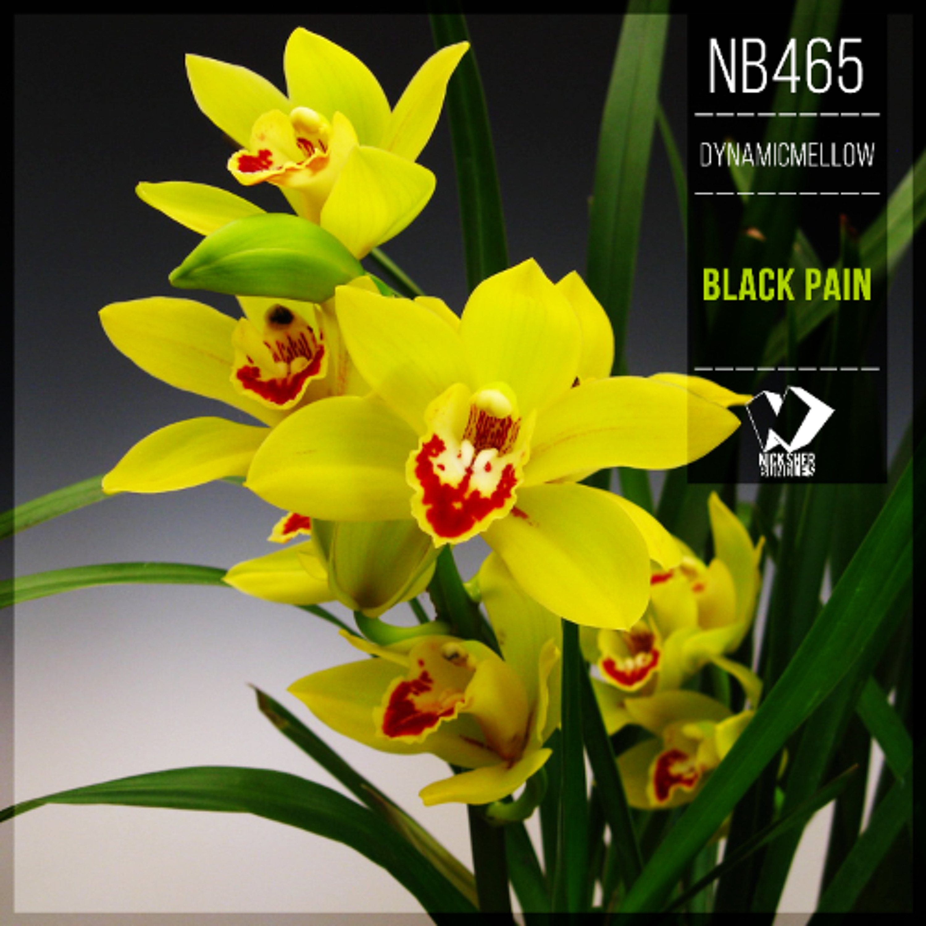 DynamicMellow - Black Pain (Original Mix) episode artwork