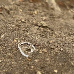 Hardened Debris
