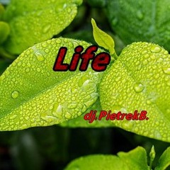 Life