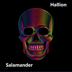 Salamander (Fleadhcast Influence mix 2020)