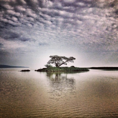 king alpha sound system