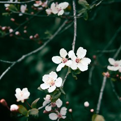 __PODCASTS & DJ SETS