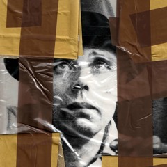 Fetch The Bolt Cutters, I've Been In Here Too Long