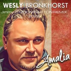 Wesly Bronkhorst - Amalia  (Jimmy - D Moombahton Remix 2022)