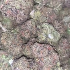Its Indica (Prod Vainhardt)