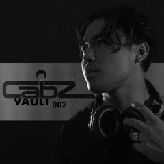The Vault 002