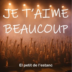Je t’aime beaucoup (Live) Domèstic Fest 2025