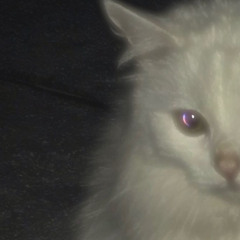 Memorable  (tjay ussher + andrzxz)