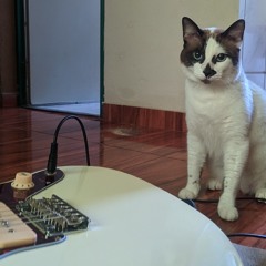 todos os meus amigos estão mortos