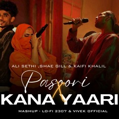 Pasoori X Kana Yari (Mashup)