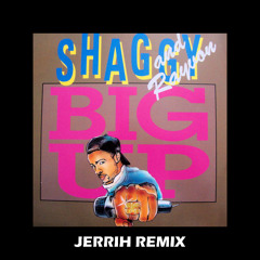 Shaggy & Rayvon - Big Up (JERRIH Remix)