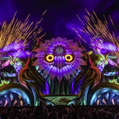 Road to EDC Las Vegas 2023