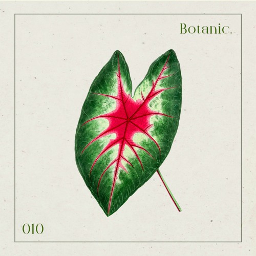 Botanic Podcast - 010 - Cesare vs Disorder