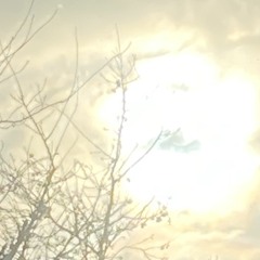 Rebirthing🙏✨🌈🦋.m4a