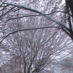 i aint gon txt back ;p