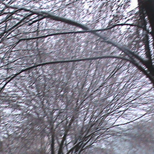 i aint gon txt back ;p