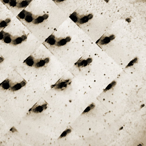 Then, What Followed.