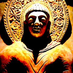 S O F T W A R M L I G H T