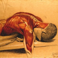 1000 Reps - beat by Nán Fiero / mix by Razalazam