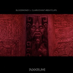 BLOODMONEY 1 : CLAIRVOYANT #BEATCLIPS [NXKRUM]