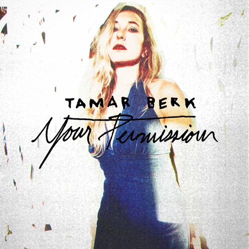 Your Permission - Tamar Berk