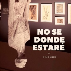 NSDE (No Se Donde Estaré)