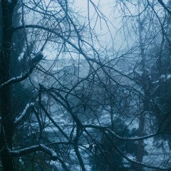 Sometimes I feel like